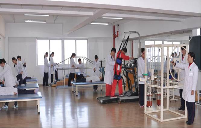 说明: 图6 学生进行运动康复训练